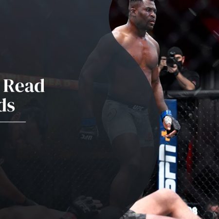 How to read UFC Odds – UFC Betting 101