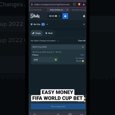 #shorts FIFA WORLD CUP EASY BET WIN #fifa #sportbetting #stake #uselink stake.com/?c=435f9adb81