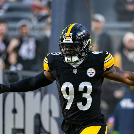 Steelers training camp: New face appears at FB Sunday